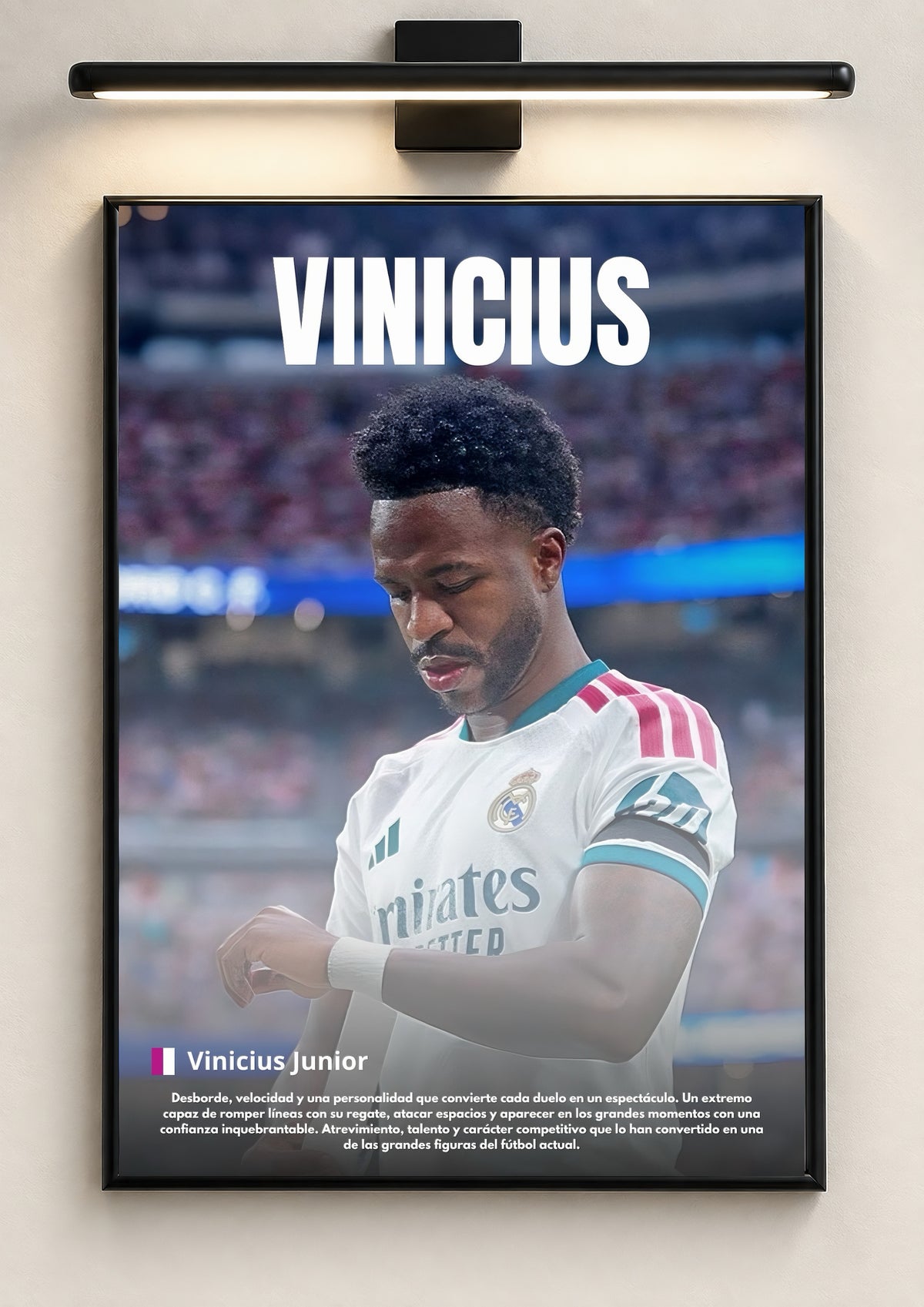 VINICIUS